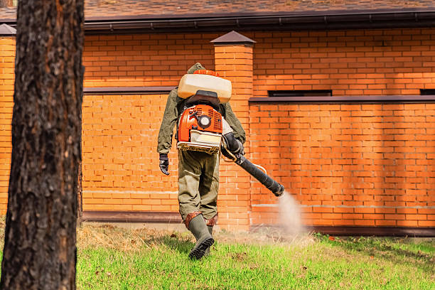 Trusted Bed Bug Control service in Newcastle, WA - Nex Pest Control